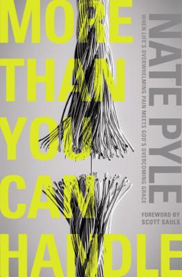 Cover image for More Than You Can Handle, isbn: 9780310343400