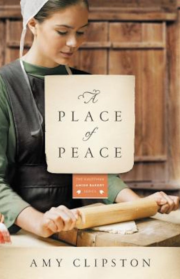 Cover image for A Place of Peace, isbn: 9780310344216