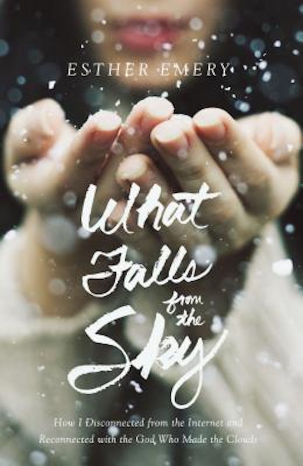Cover image for What Falls from the Sky, isbn: 9780310345107
