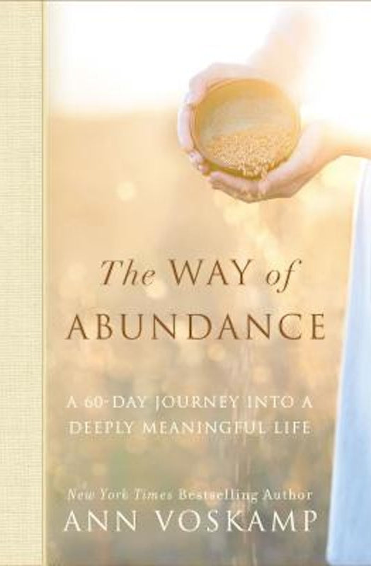 Cover image for The Way of Abundance, isbn: 9780310350316