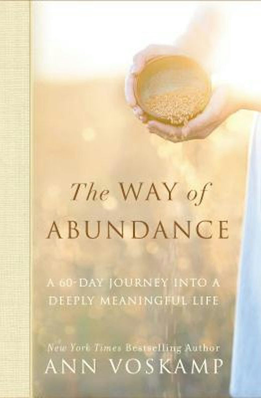 Cover image for The Way of Abundance, isbn: 9780310350316