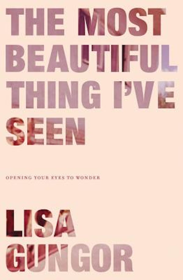 Cover image for The Most Beautiful Thing I've Seen, isbn: 9780310350439