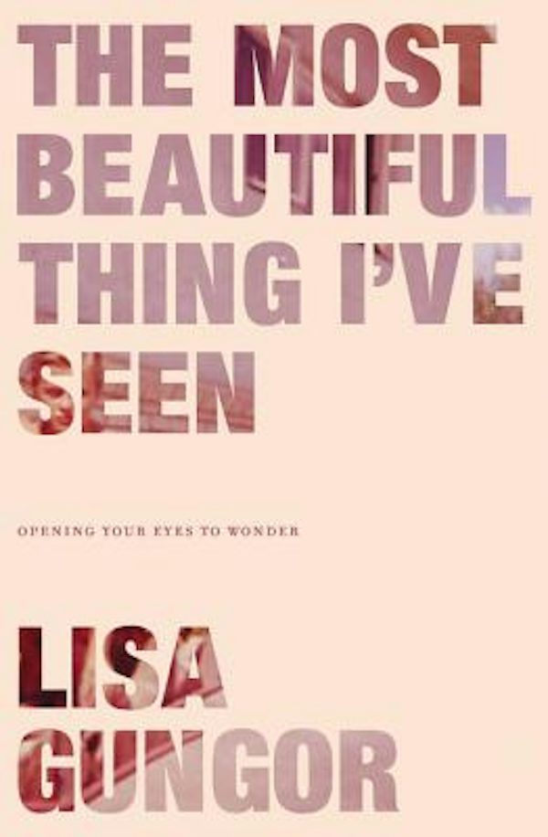 Cover image for The Most Beautiful Thing I've Seen, isbn: 9780310350439