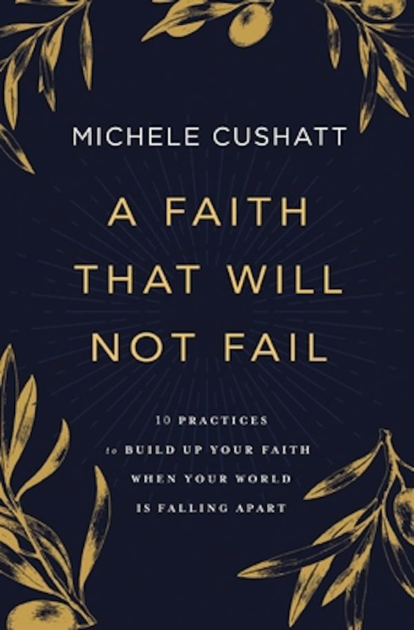 Cover image for A Faith That Will Not Fail, isbn: 9780310353034