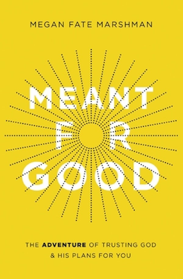 Cover image for Meant for Good, isbn: 9780310358244
