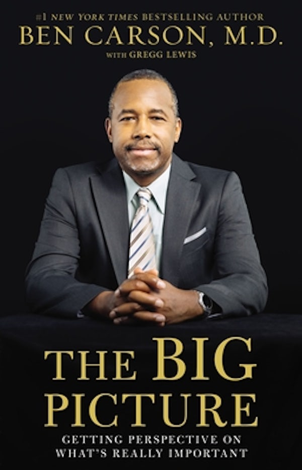 Cover image for The Big Picture, isbn: 9780310363552