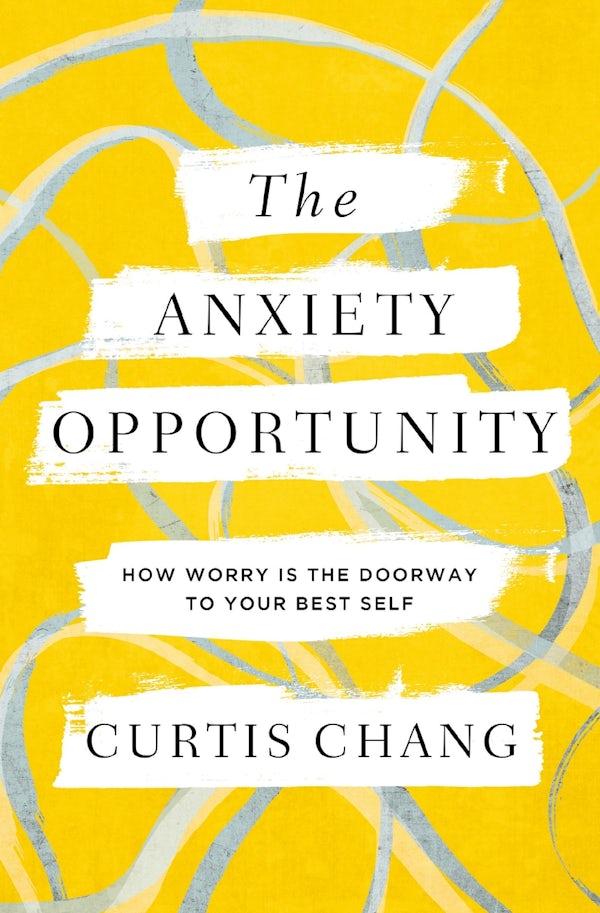 Cover image for The Anxiety Opportunity, isbn: 9780310367284