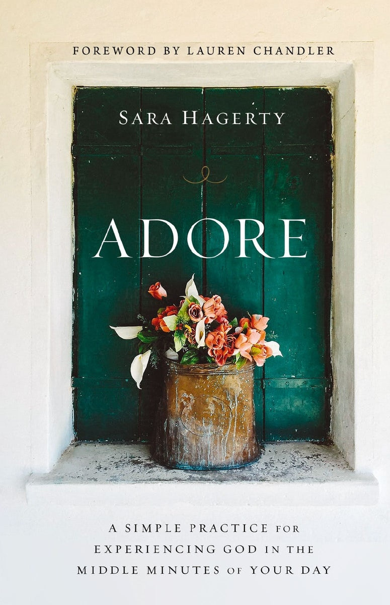Cover image for Adore, isbn: 9780310370024