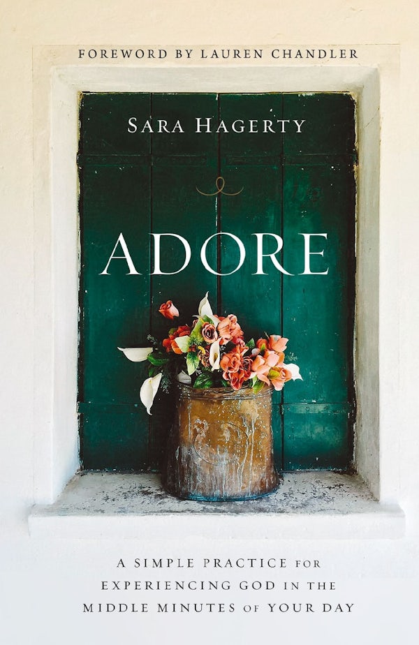 Cover image for Adore, isbn: 9780310370024