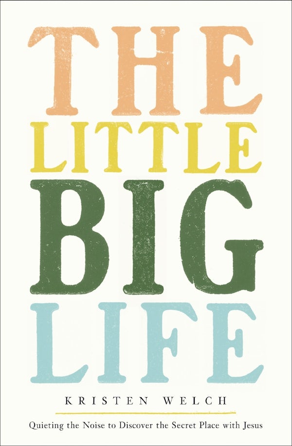 Cover image for The Little Big Life, isbn: 9780310370949