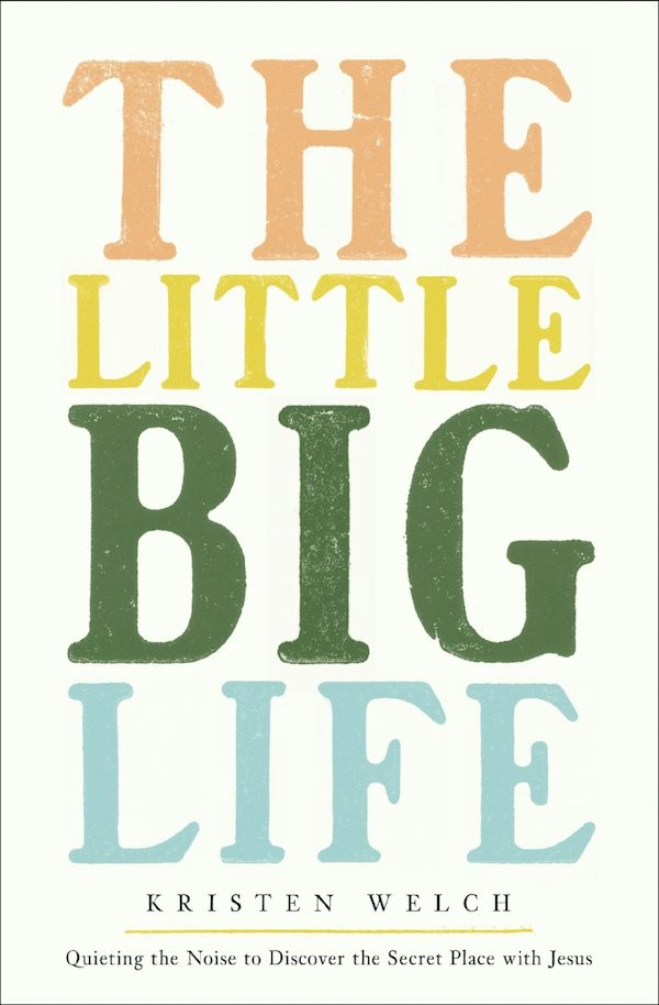 Cover image for The Little Big Life, isbn: 9780310370949