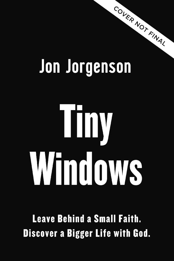 Cover image for Tiny Windows, isbn: 9780310371793