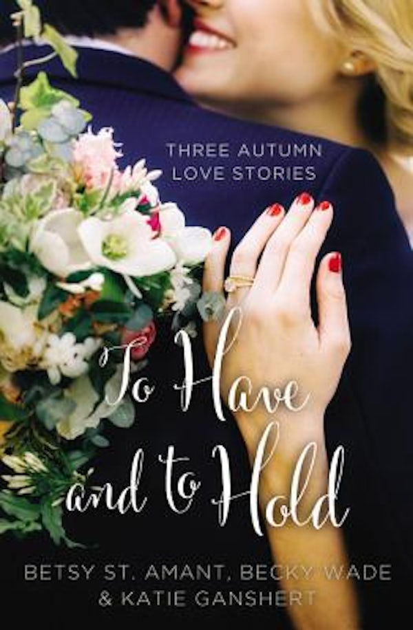Cover image for To Have and to Hold, isbn: 9780310395935