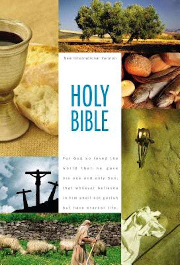 Cover image for Textbook Bible-NIV, isbn: 9780310435228