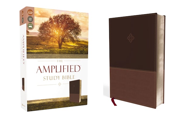 Cover image for Amplified Study Bible, Imitation Leather, Brown, isbn: 9780310440802