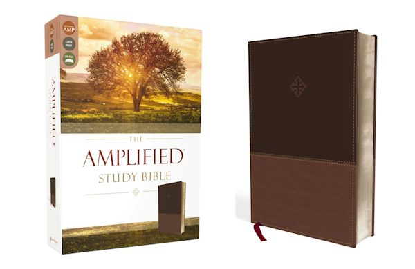 Cover image for Amplified Study Bible, Imitation Leather, Brown, isbn: 9780310440802