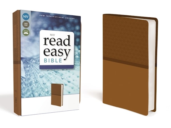 Cover image for NIV Readeasy Bible, isbn: 9780310441595