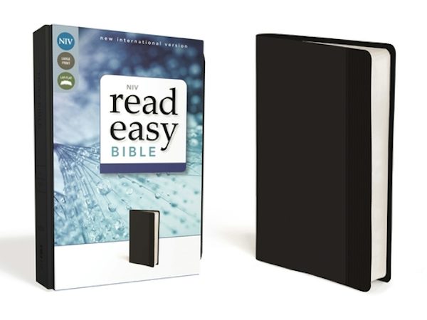 Cover image for Readeasy Bible-NIV, isbn: 9780310441625