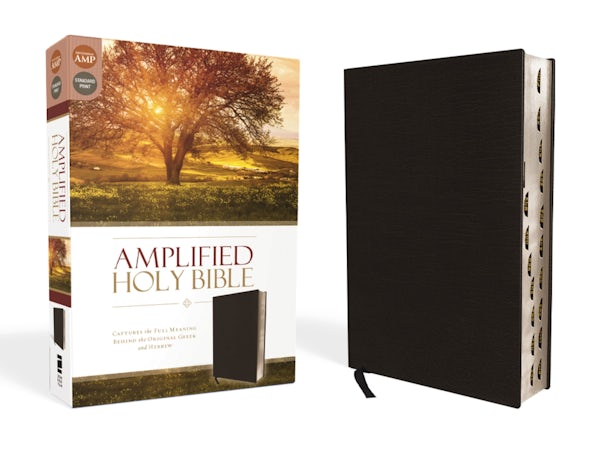 Cover image for Amplified-Am, isbn: 9780310443933