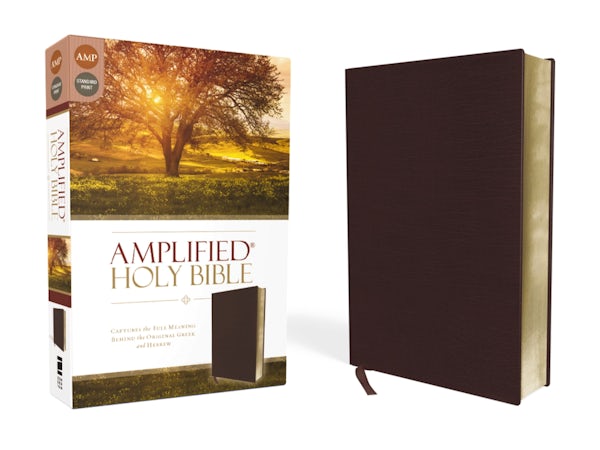 Cover image for Amplified Bible-Am, isbn: 9780310443940