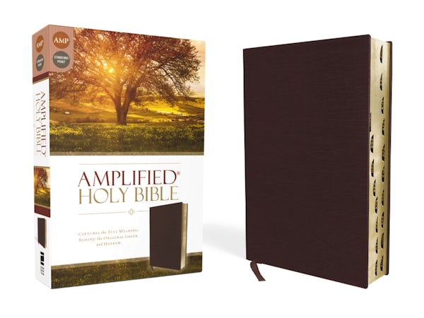 Cover image for Amplified-Am, isbn: 9780310443957