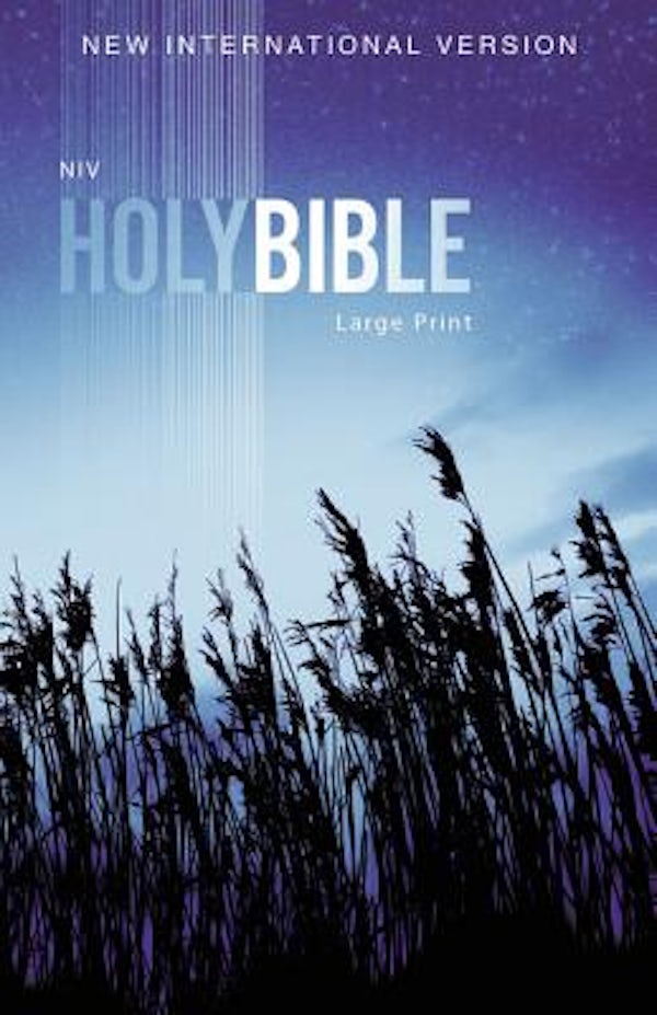 Cover image for Outreach Bible-NIV, isbn: 9780310446378