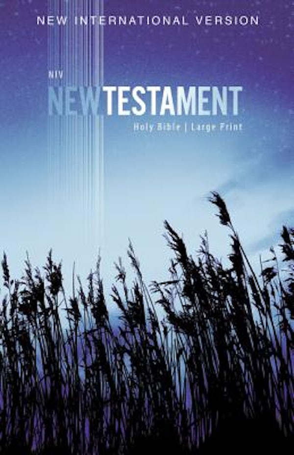 Cover image for NIV, Outreach New Testament, Large Print, Paperback, isbn: 9780310446439