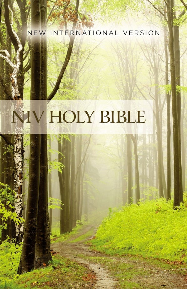 Cover image for NIV, Value Outreach Bible, Paperback, isbn: 9780310446484