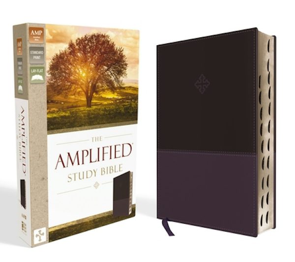 Cover image for Amplified Study Bible, Imitation Leather, Purple, Indexed, isbn: 9780310446538