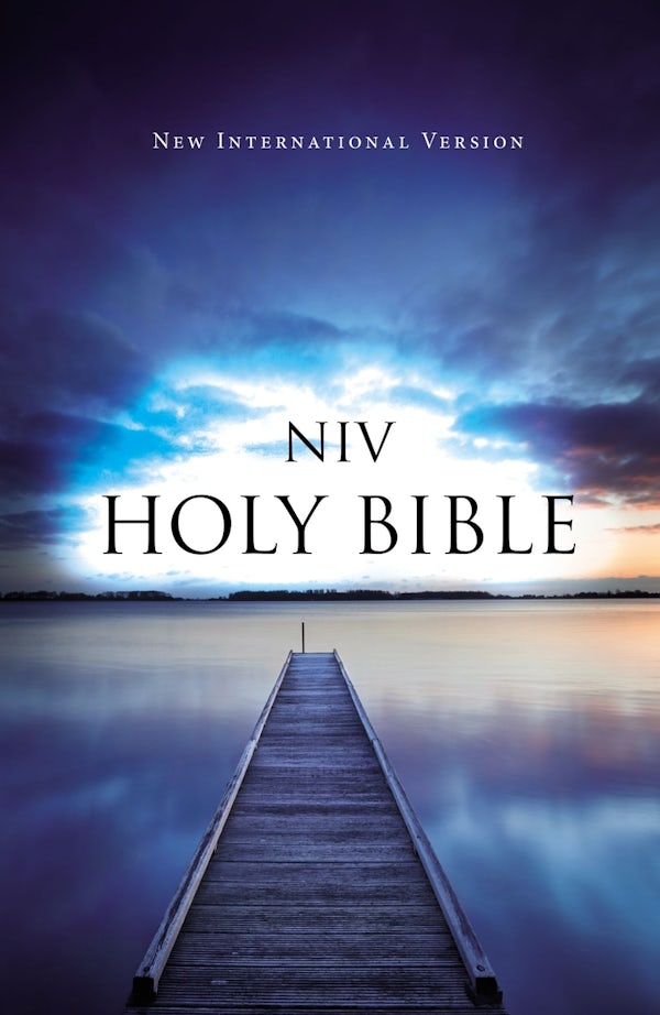 Cover image for Value Outreach Bible-NIV, isbn: 9780310446774
