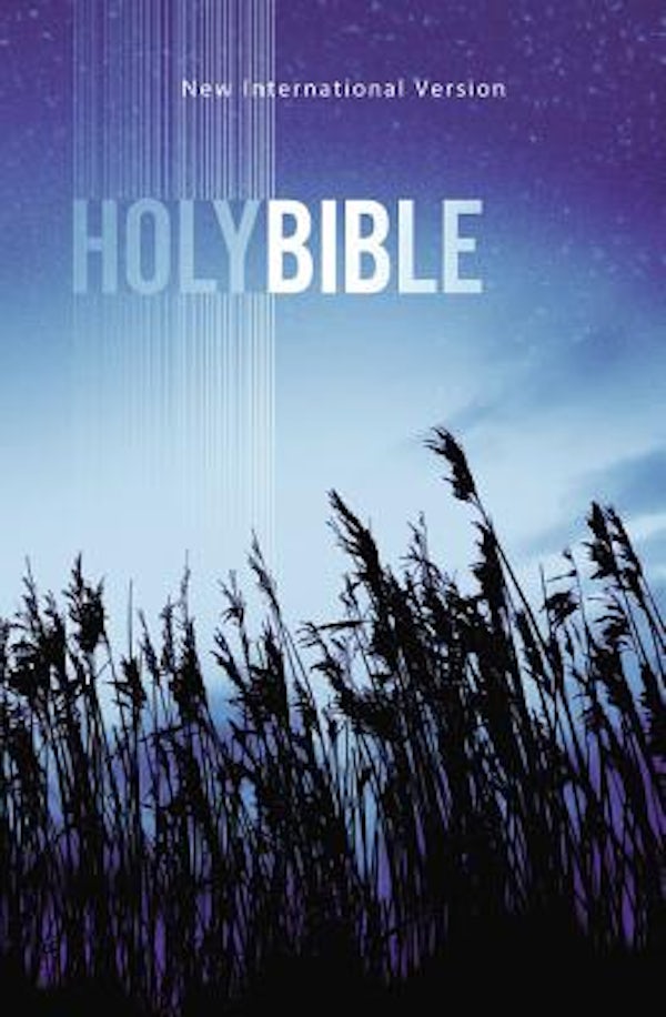 Cover image for Value Outreach Bible-NIV, isbn: 9780310446828
