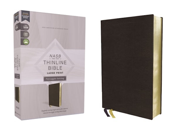 Cover image for Nasb, Thinline Bible, Large Print, Passaggio Setting, Leathersoft, Black, Red Letter, 1995 Text, Comfort Print, isbn: 9780310456728