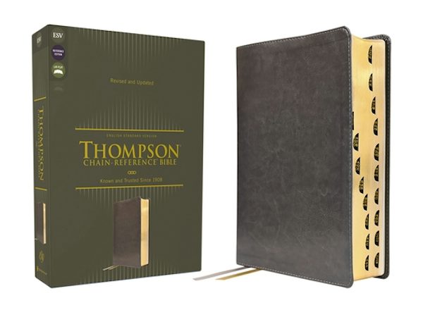 Cover image for Esv, Thompson Chain-Reference Bible, Leathersoft, Gray, Red Letter, Thumb Indexed, isbn: 9780310459019