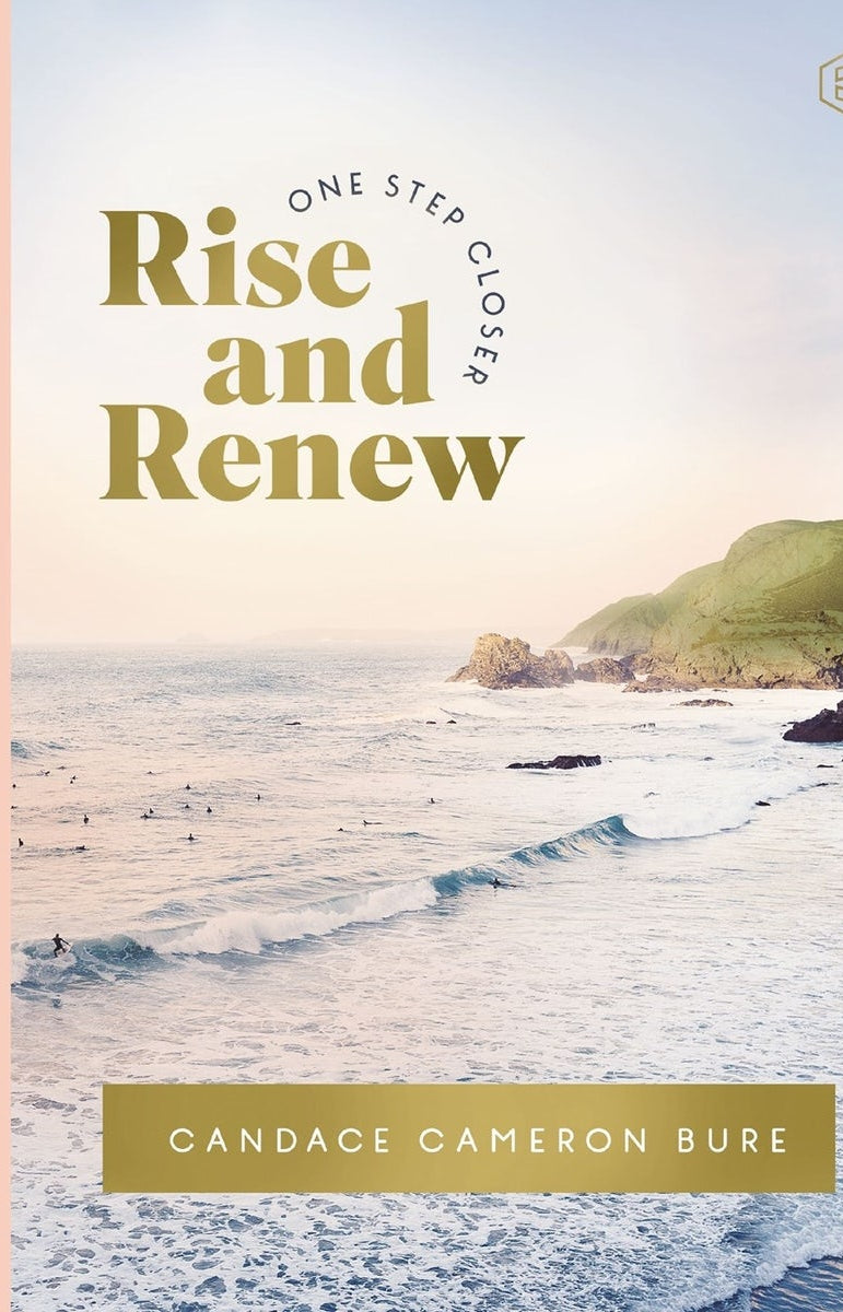 Cover image for Rise and Renew, isbn: 9780310466406