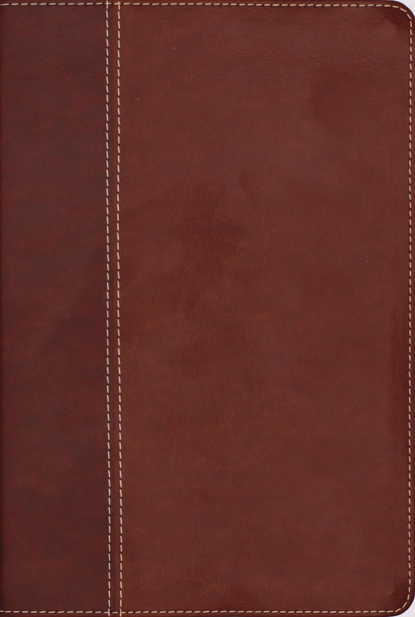 Cover image for Niv, Cultural Backgrounds Study Bible (Context Changes Everything), Leathersoft, Brown, Red Letter, isbn: 9780310467786
