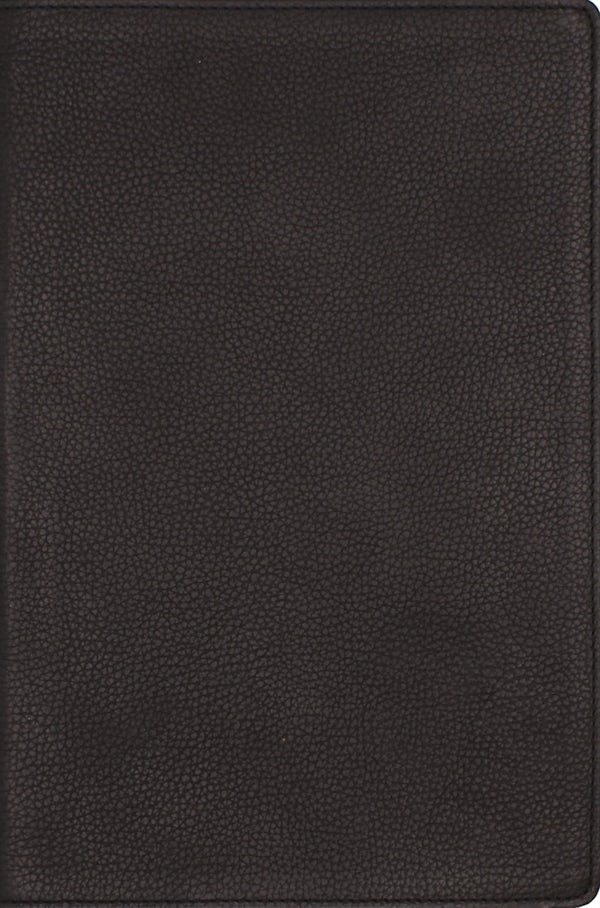 Cover image for Nrsvue, Single-Column Reference Bible, Genuine Calfskin Leather, Black, Art Gilded Edges, Comfort Print, isbn: 9780310469179