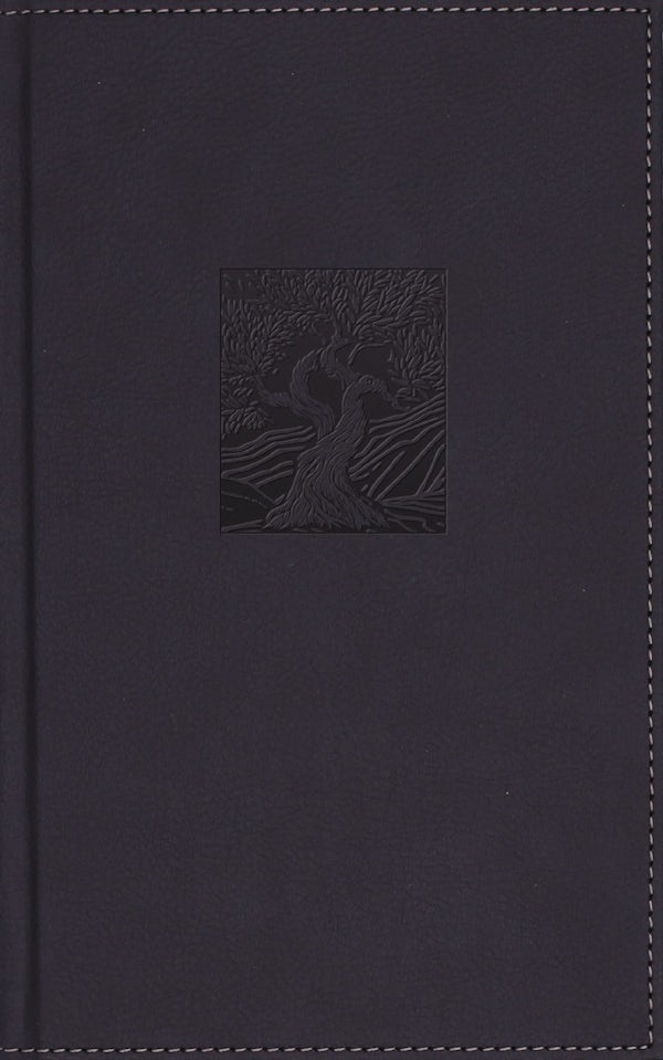 Cover image for Niv, Heritage Bible, Page Edge Art Edition, Leathersoft Over Board, Navy, Red Letter, Comfort Print, isbn: 9780310469209