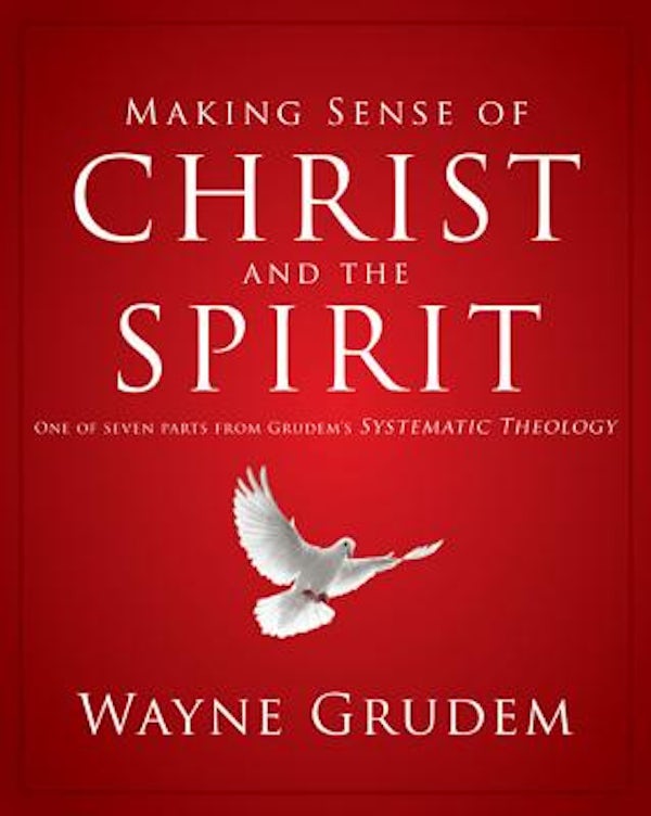 Cover image for Making Sense of Christ and the Spirit, isbn: 9780310493143