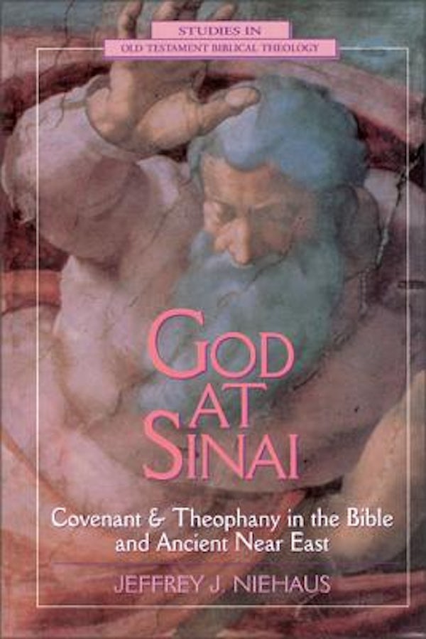 Cover image for God at Sinai, isbn: 9780310494713
