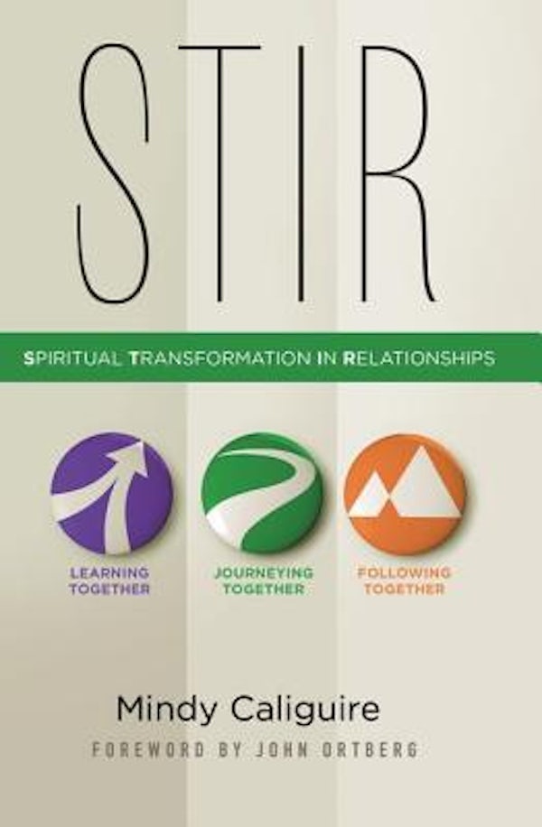 Cover image for Stir, isbn: 9780310494829