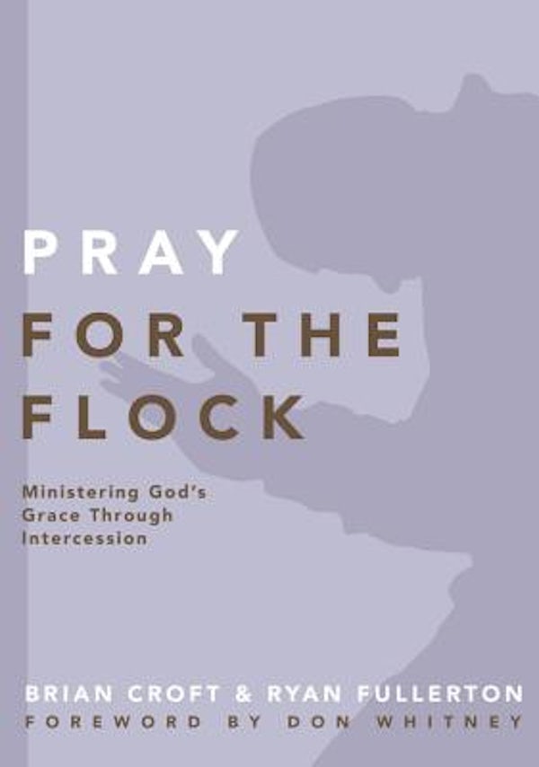 Cover image for Pray for the Flock, isbn: 9780310519379