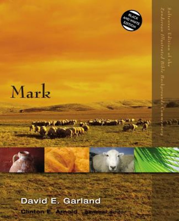 Cover image for Mark, isbn: 9780310522911