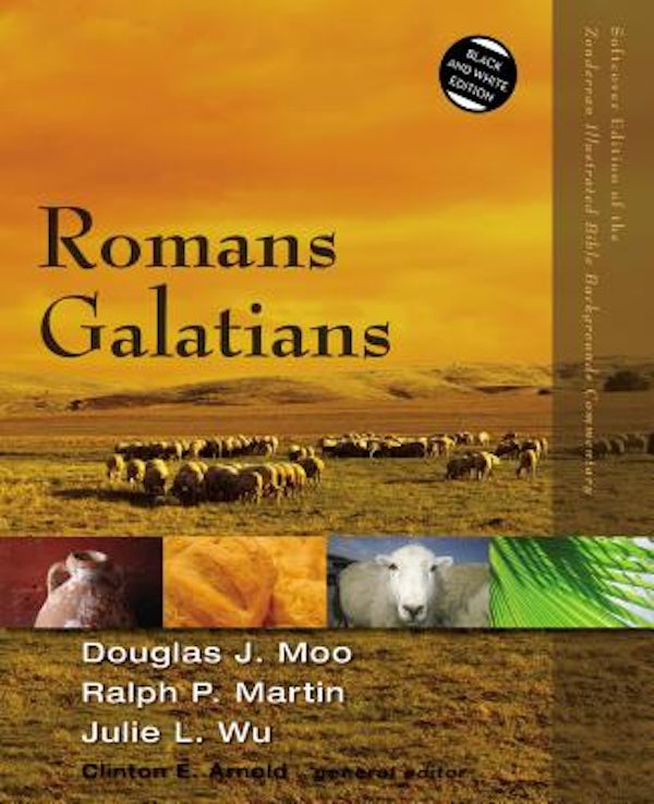 Cover image for Romans, Galatians, isbn: 9780310522959