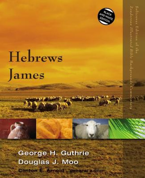 Cover image for Hebrews, James, isbn: 9780310523079