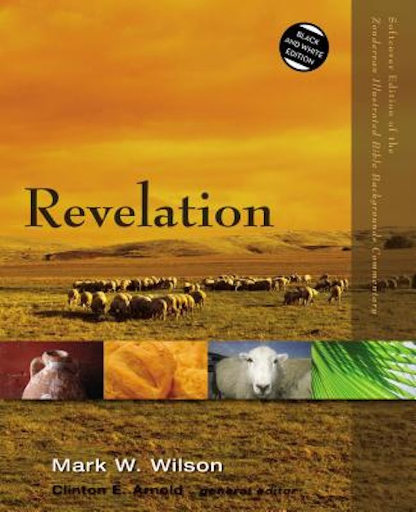 Cover image for Revelation, isbn: 9780310523093