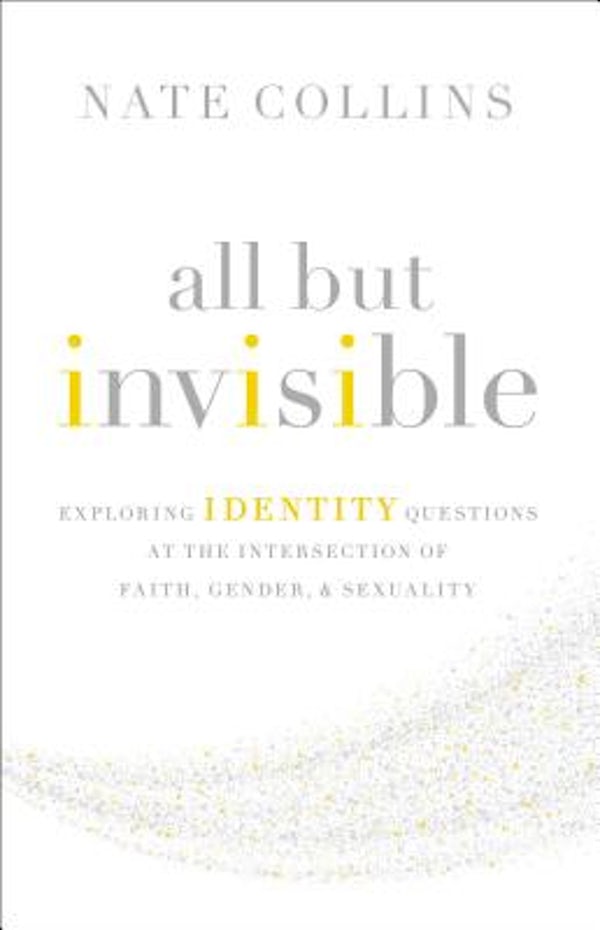 Cover image for All But Invisible, isbn: 9780310526025