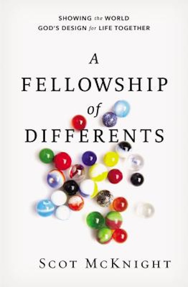 Cover image for A Fellowship of Differents, isbn: 9780310531470