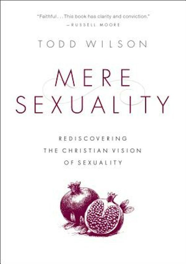 Cover image for Mere Sexuality, isbn: 9780310535355