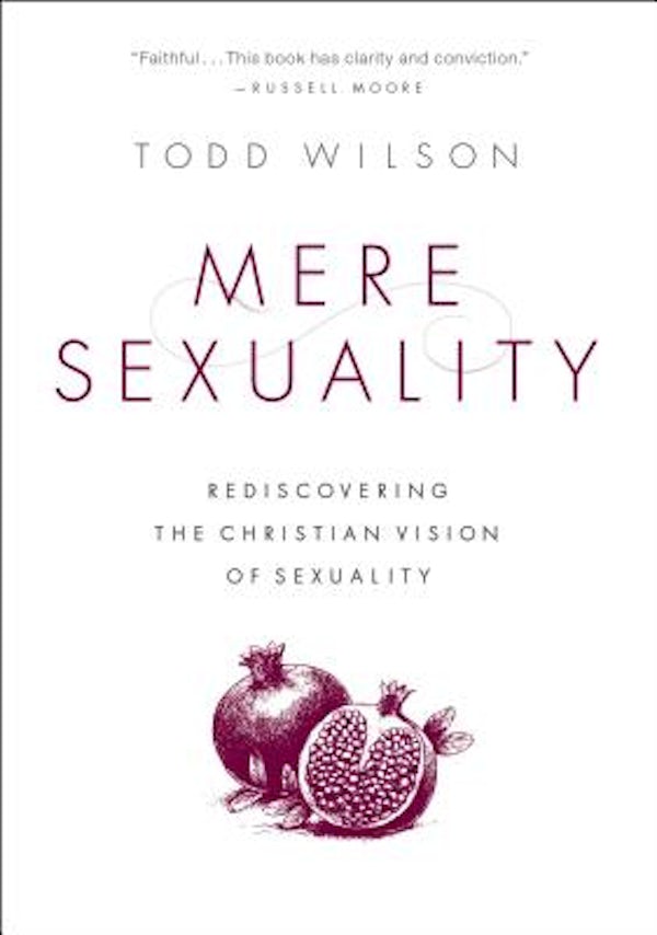 Cover image for Mere Sexuality, isbn: 9780310535355