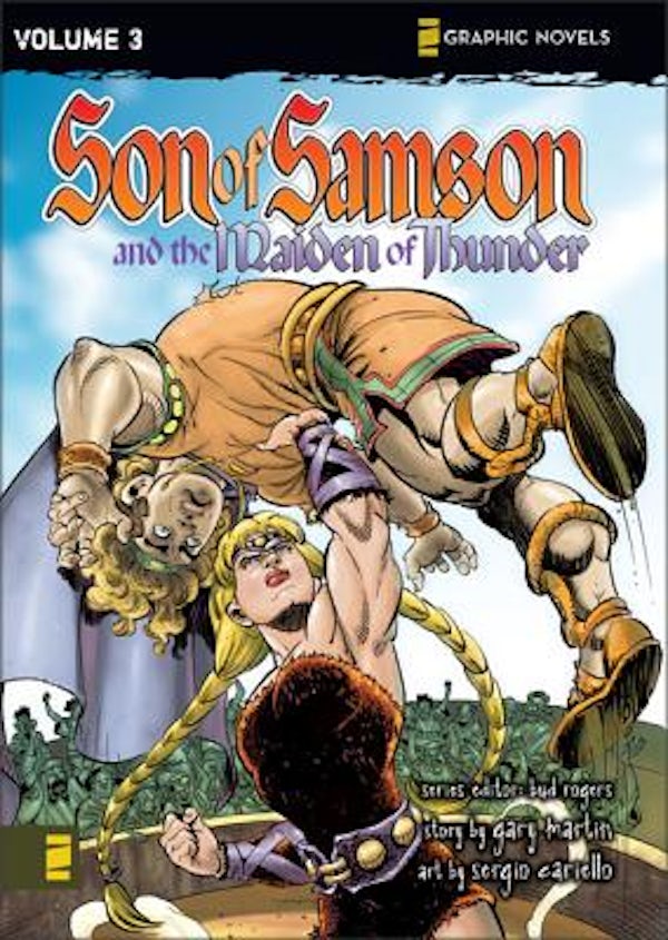 Cover image for The Maiden of Thunder, isbn: 9780310712817